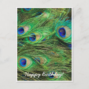 Cartão Postal Pavão Bonito