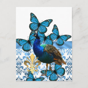 Cartão Postal Pavão bonito e borboletas azuis