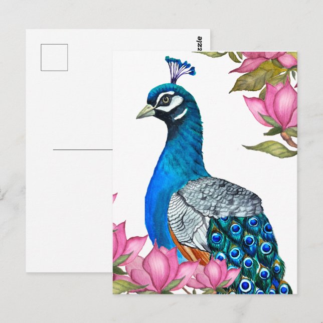 Cartão Postal Pavão de Aquarela (Frente/Verso)