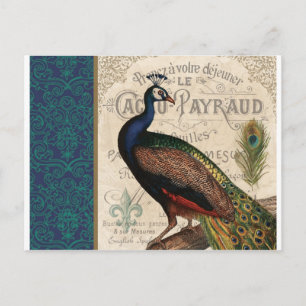 Cartão Postal pavão francês antigo
