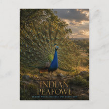 Pavão-indiano Borda da Floresta ANIMAIS