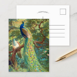 Cartão Postal Pavão-Indiano   Charles Robert Knight