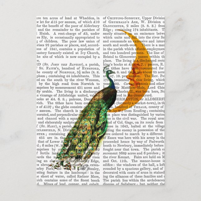Cartão Postal Pavão na Lua (Frente)