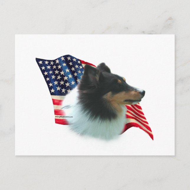 Cartão Postal Pavilhão Shetland Sheepdog (tri) (Frente)