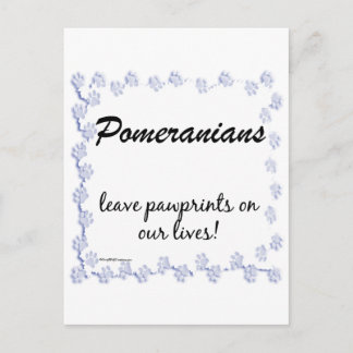 Cartão Postal Pawprint Pomerano