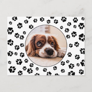 Cartão Postal Pawprint Puppy Photo