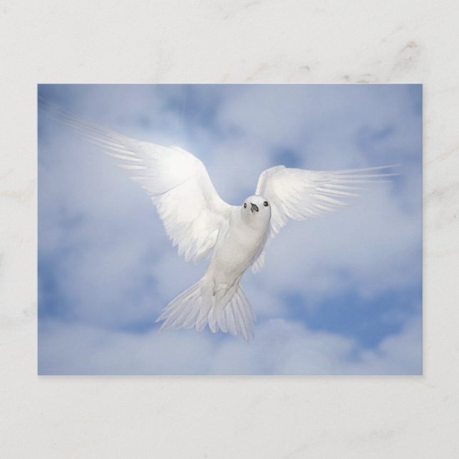 Cartão Postal Pax (Frente)