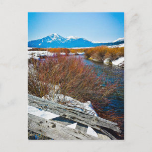 Cartão Postal "Paz"