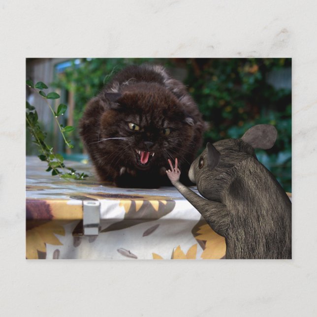 Cartão Postal Paz! (Frente)