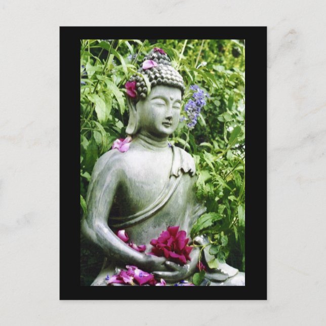 Cartão Postal Paz (Frente)