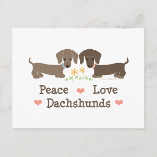Cartão Postal Paz Amor Dachshunds