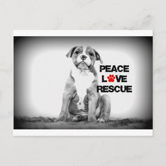 Cartão Postal Paz Amor Resgate Cão (Frente)