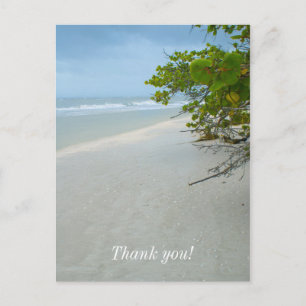 Cartão Postal Paz e Silêncio na Ilha de Sanibel