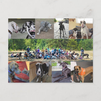 Cartão postal PDXDanes