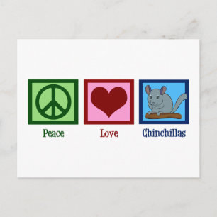 Cartão Postal Peace Love Chinchillas