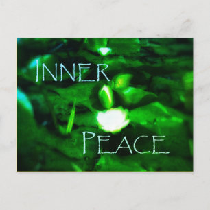 CARTÃO POSTAL PEACE WATERLILY POSTCARTÃO