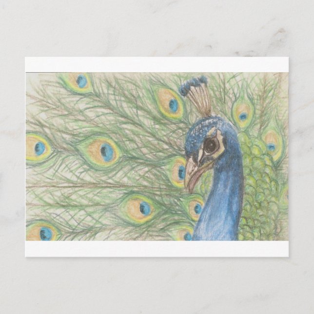Cartão postal Peacock (Frente)