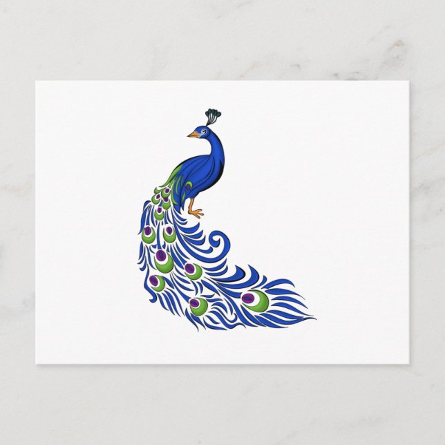 Cartão Postal Peacock (Frente)