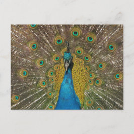 Cartão postal Peacock
