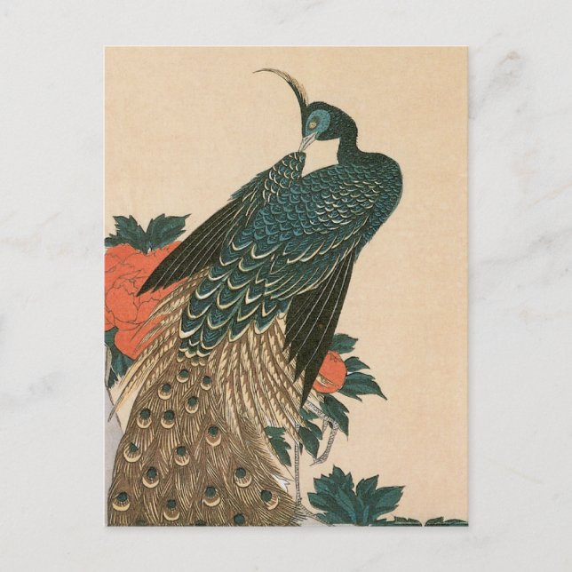 Cartão Postal Peacock and Peonies by Hiroshige, Arte Japonesa (Frente)
