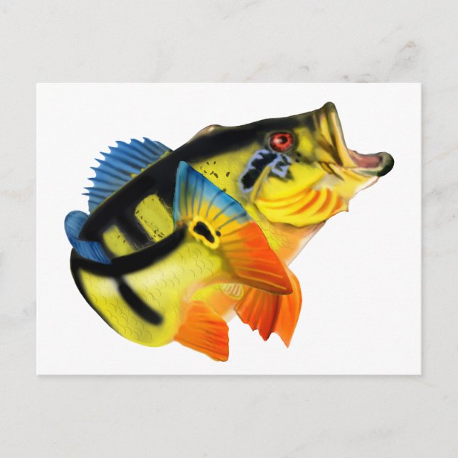 Cartão Postal Peacock Bass 3 (Frente)