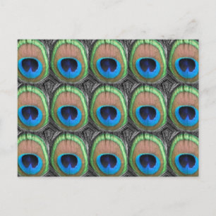 Cartão Postal Peacock Eyes