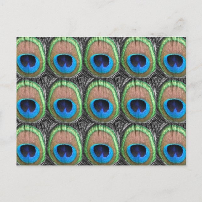 Cartão Postal Peacock Eyes (Frente)