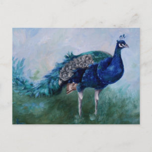 Cartão Postal Peacock Postcard