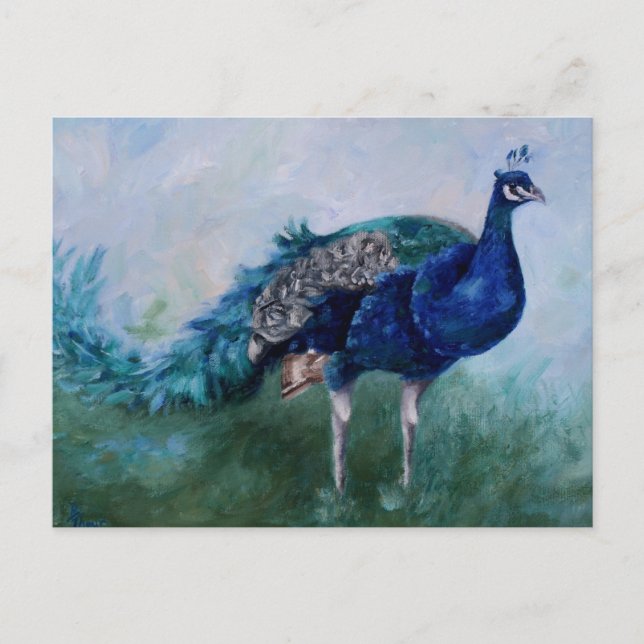 Cartão Postal Peacock Postcard (Frente)