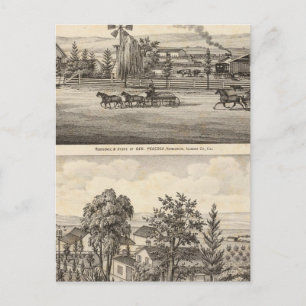 Cartão Postal Peacock res, Willow Glen