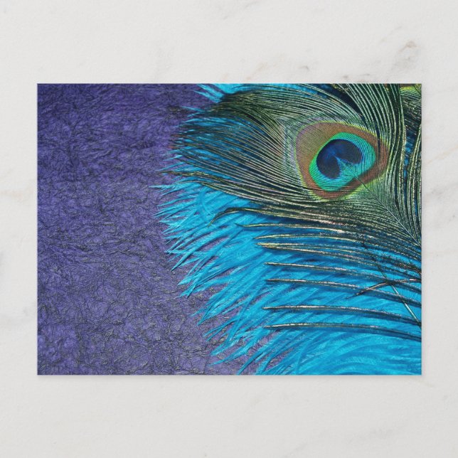 Cartão Postal Peacock Roxo e Teal (Frente)