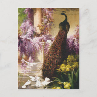 Cartão Postal Peacocks e Doves
