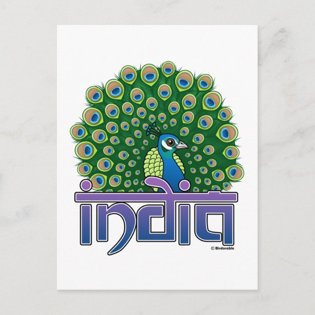 Cartão Postal Peafowl da Índia (Frente)