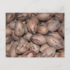 Cartão postal Pecan
