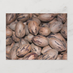 Cartão postal Pecan