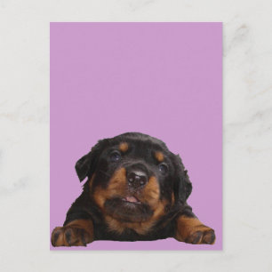 Cartão Postal Peças Para Pensamento