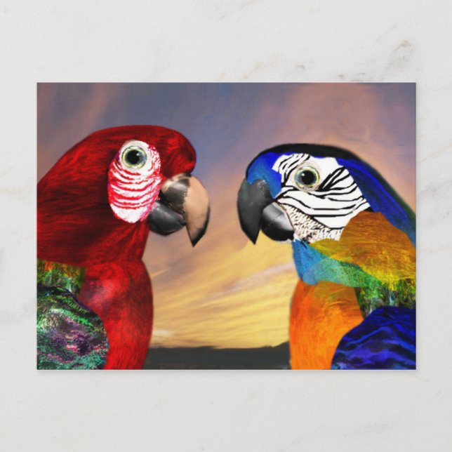 CARTÃO POSTAL PEDAÇOS HÍPIDOS / ARA VERMELHA E AZUL (Frente)