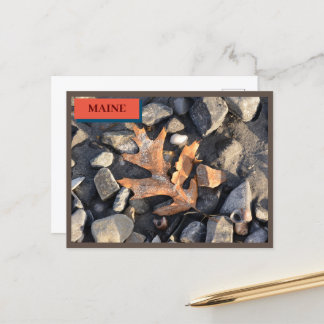 Cartão Postal Pedras Folhas Conchas Seapoint Praia Maine Naturez