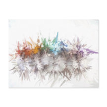 Pedras Preciosas do Chakra