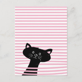 Cartão Postal Peekaboo! Gato Preto Cinto - Cartão-postal