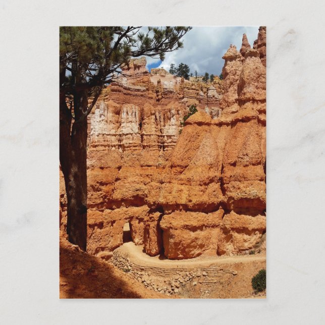 Cartão Postal Peekaboo Loop para Bryce Point Bryce Canyon Nation (Frente)