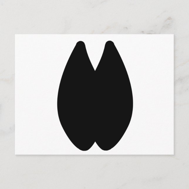 Cartão Postal Pegada Alpaca (Frente)