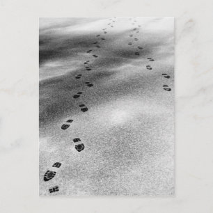 Cartão Postal Pegadas em neve