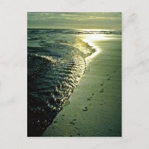 Cartão Postal Pegadas Na Areia, Piha, Ilha do Norte