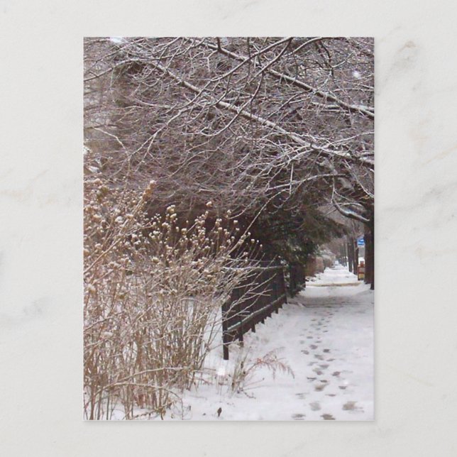 Cartão Postal Pegadas na neve. (Frente)