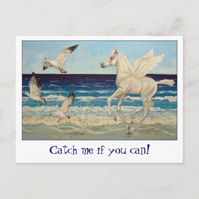 Cartão Postal Pegasus Horse & Sea Gulls (Frente)