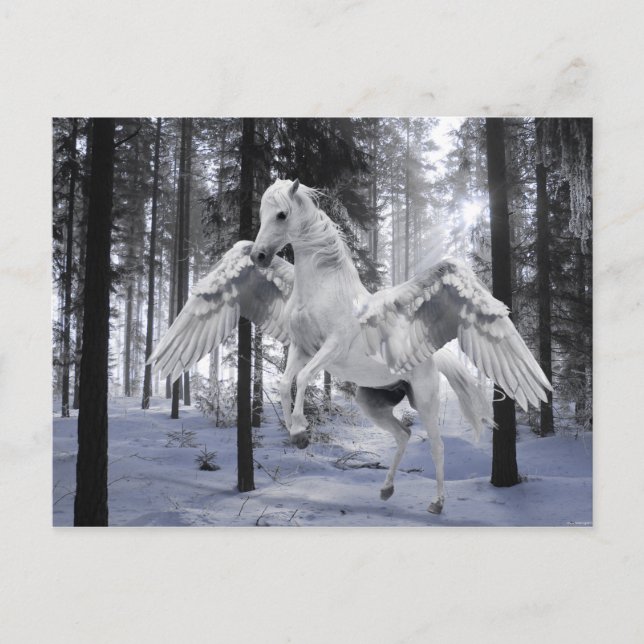 Cartão Postal Pegasus Winged Flying Horse Snow (Frente)