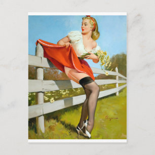 Cartão Postal Pego no pino de cerca para cima