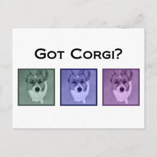 Cartão Postal Pegou Corgi? Fotografia de Arte Funny Corgis