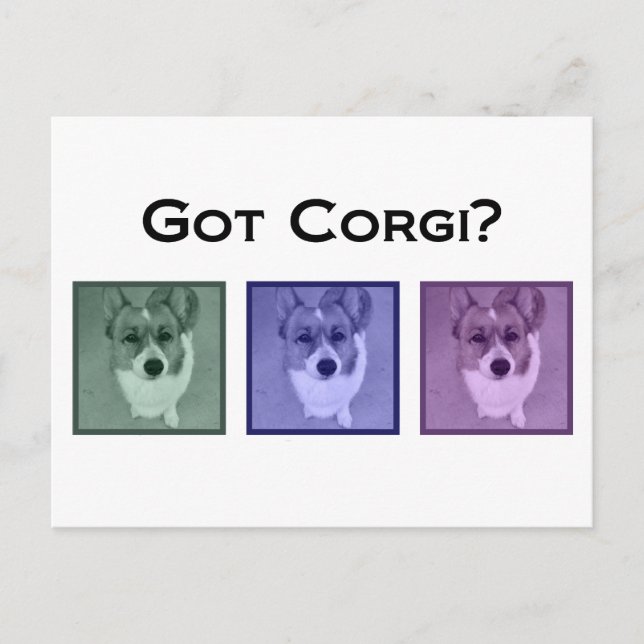 Cartão Postal Pegou Corgi? Fotografia de Arte Funny Corgis (Frente)